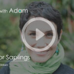 Interviews with Adam