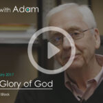 Interviews with Adam
