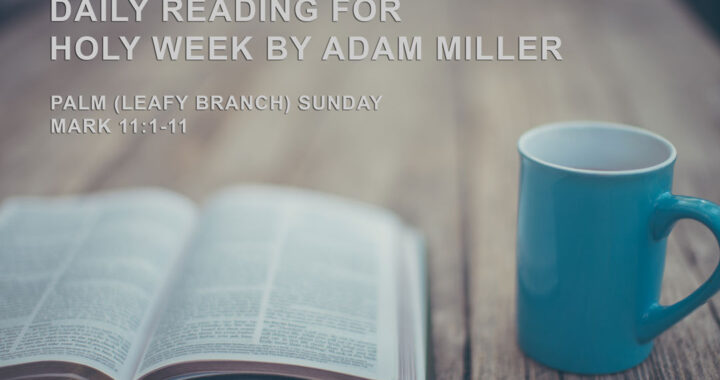 Palm-Sunday