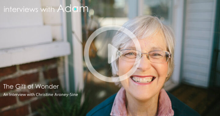 Christine Aroney-Sine - The Gift of Wonder