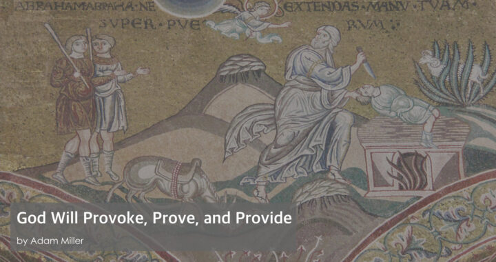 God Will Provoke, Prove, and Provide by Adam Miller