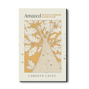 Amazed by Carolyn Lacey